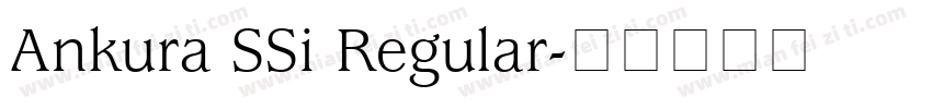 Ankura SSi Regular字体转换